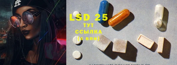 гашик Вязники