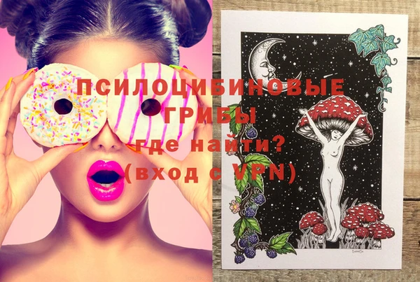 гашик Вязники