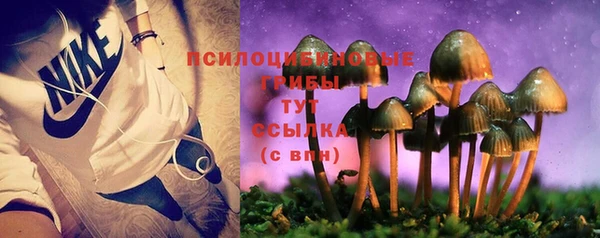 дурь Тайга